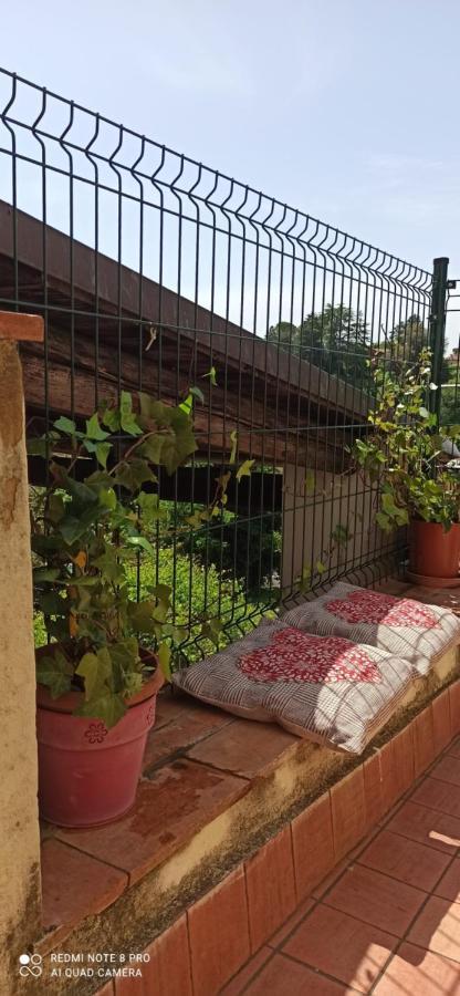 Casa Ernesto-Amica Dei Ciclisti Villa Acquasparta Ngoại thất bức ảnh